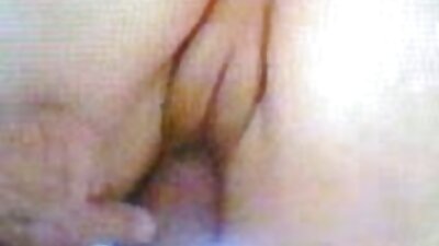 கவர்ச்சியான முயல் மகிழ்ச்சி அடைகிறது